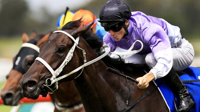 Sweet Fire ridden by James McDonald, wins race4 during Rosehill midweek races. pic Mark Evans