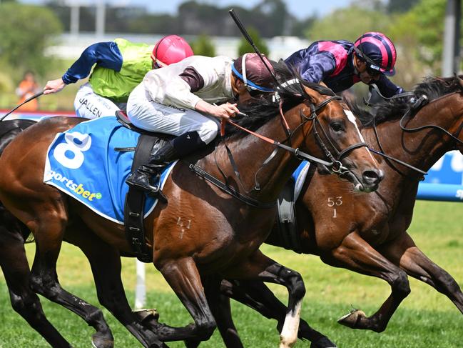 MELBOURNE, AUSTRALIA - OCTOBER 19: Michael Dee riding Kingofwallstreet defeats China Sea (r) in Race 3, the Sportsbet Classic - Betting Odds during Melbourne Racing at Caulfield Racecourse on October 19, 2024 in Melbourne, Australia. (Photo by Vince Caligiuri/Getty Images)