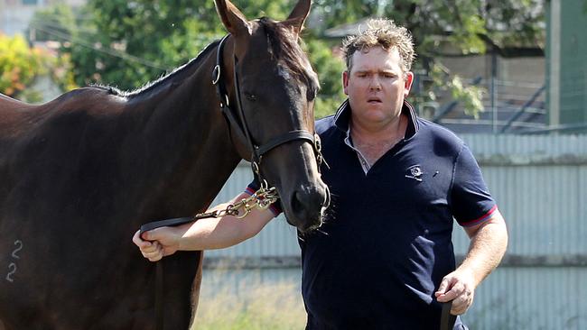 Trainer Ben Smith says In Her Time has improved ‘lengths’ since the Doomben 10,000. Picture: Mark Scott