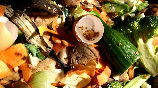 The larvae would convert our food scraps into commercial-quantity fertiliser and animal feed.