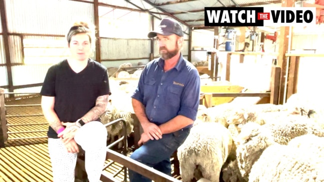 Shearer shortage hits wool industry