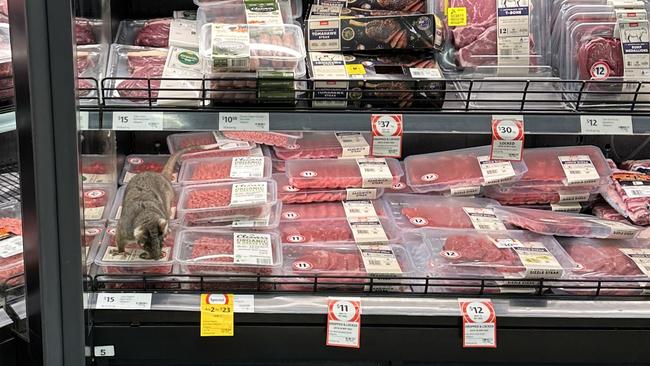 A possum was spotted crawling across packaged meat products at Coles Mitcham on Monday, April 10, 2023. Picture: Supplied.