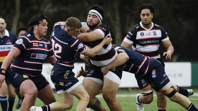 West Harbour playing Eastern Suburbs in the 2020 Shute Shield.