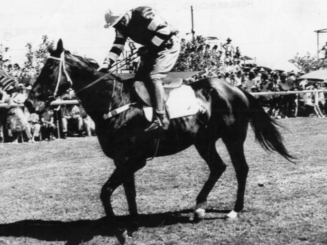 An undated photo of Fine Cotton ridden by jockey Mark Strip racing at the Gold Coast.