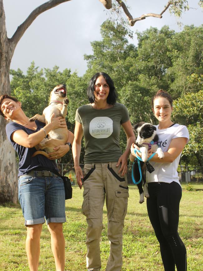 Victoria Aley with Molly, trainer Shannon Ratahi and Courteney Newton with Hadley all know the benefits of dog training. 