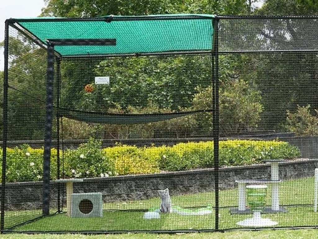 Catio trendy new cats home protecting our pets and native wildlife Daily Telegraph