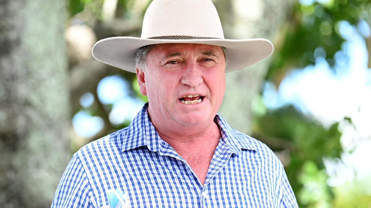 Deputy Prime Minister Barnaby Joyce. Picture: NCA NewsWire / Dan Peled