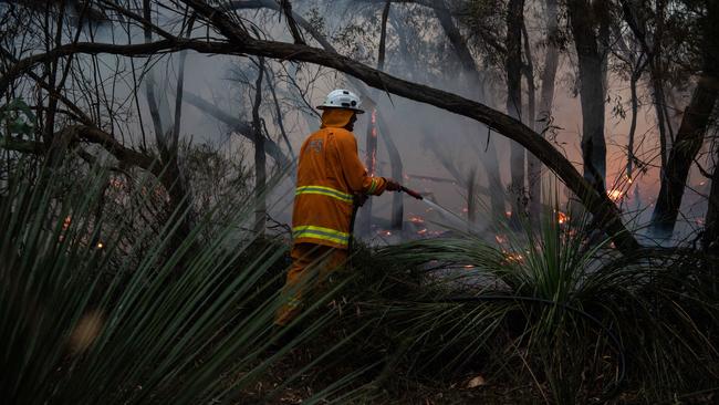 The review found a significant deficiency in resources for the CFS. Picture: Brad Fleet