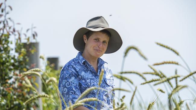 Seed plan: Betsy examines trial wheat plots. Picture: Zoe Phillips