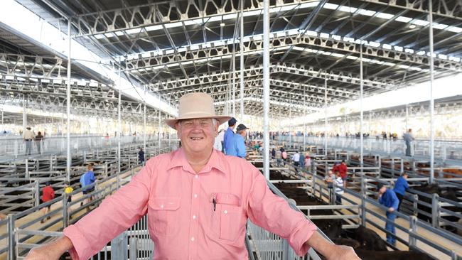 LIVESTOCK: Mortlake Opening SaleFirst sale at the new Western Victoria Livestock Exchange.Pictured: Elders wvlx agents president  Bruce Redpath.  Mortlake saleyards. Western Victoria Livestock ExchangePICTURE: ZOE PHILLIPS