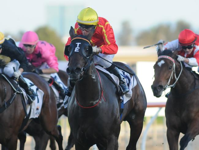 Jeff Lloyd extends his lead in the Brisbane metropolitan jockeys' premiership aboard Bound For Love at the Gold Coast on July 20. Pictures: Natasha Wood- Trackside Photography.