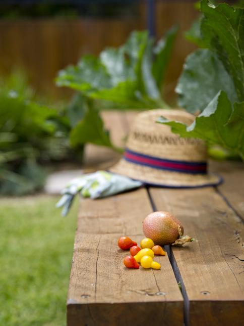 Most of the Mediterranean-style herbs such happily go in the ground at this time of year.