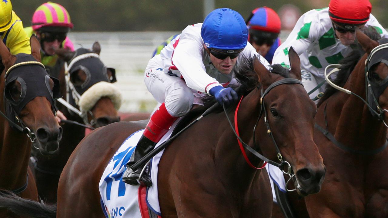 Propelle is among the favourites for the Festive Season Sprint. Picture: AAP