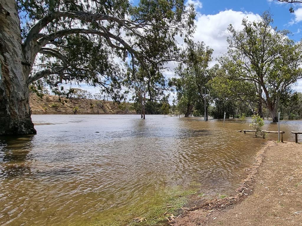 Flood water at Brenda Park near Morgan. Picture: Vicki Crawford.