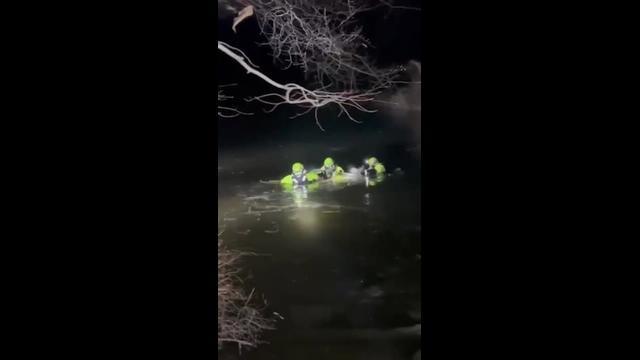 Firefighters Brave Icy Creek to Save Dog