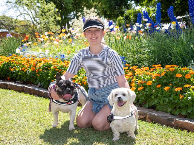 Ella Leggatt with Hank (left) and Lottie enjoying Laurel Bank Park during the Carnival of Flowers, Sunday, September 22, 2024. Picture: Bev Lacey