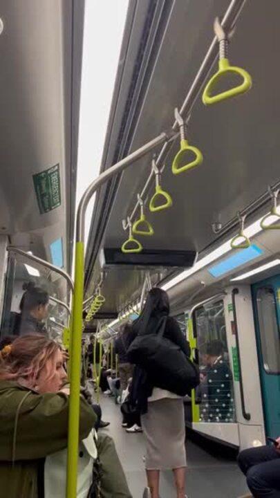 'Worst Metro Fear': Sydney Train Breaks Down During Rush Hour