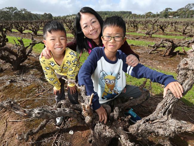 Anita Fung with her grandchildren Anson and Angus Law at Seppeltfield Winery. Picture: Tait Schmaal.