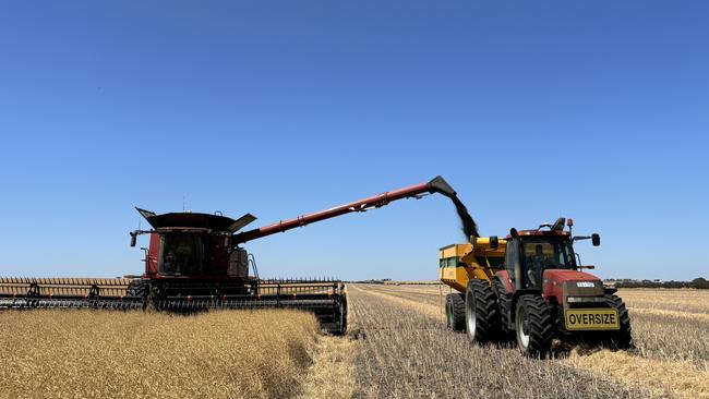 Harvest of canola at Bruce and Heather Talbot's property in Western Australia. Picture: Supplied