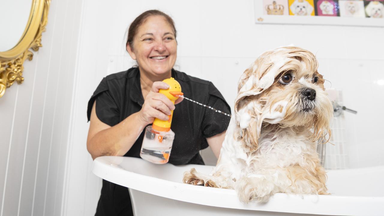 Meet the dog groomer who wants the best for your four-legged friend