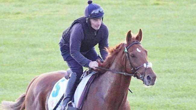 Travelling foreman David Casey aboard Vauban at Flemington earlier this week. Picture: Scott Barbour/Racing Photos