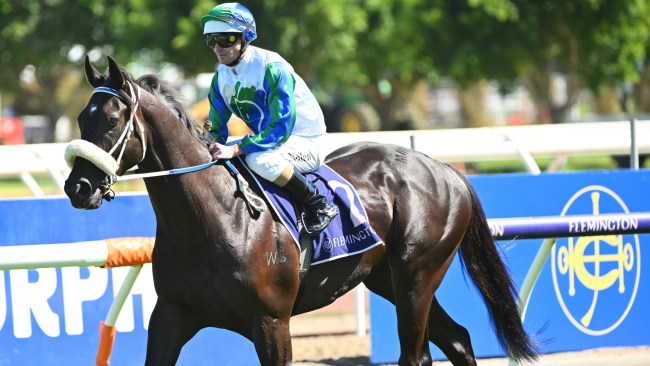 Racing Tips: The Everest returns at Royal Randwick and Melbourne’s ...