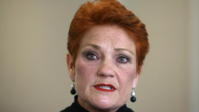 According to Senator Hanson, many men are financial hostages of their ex-partners. (Pic: Kym Smith.)