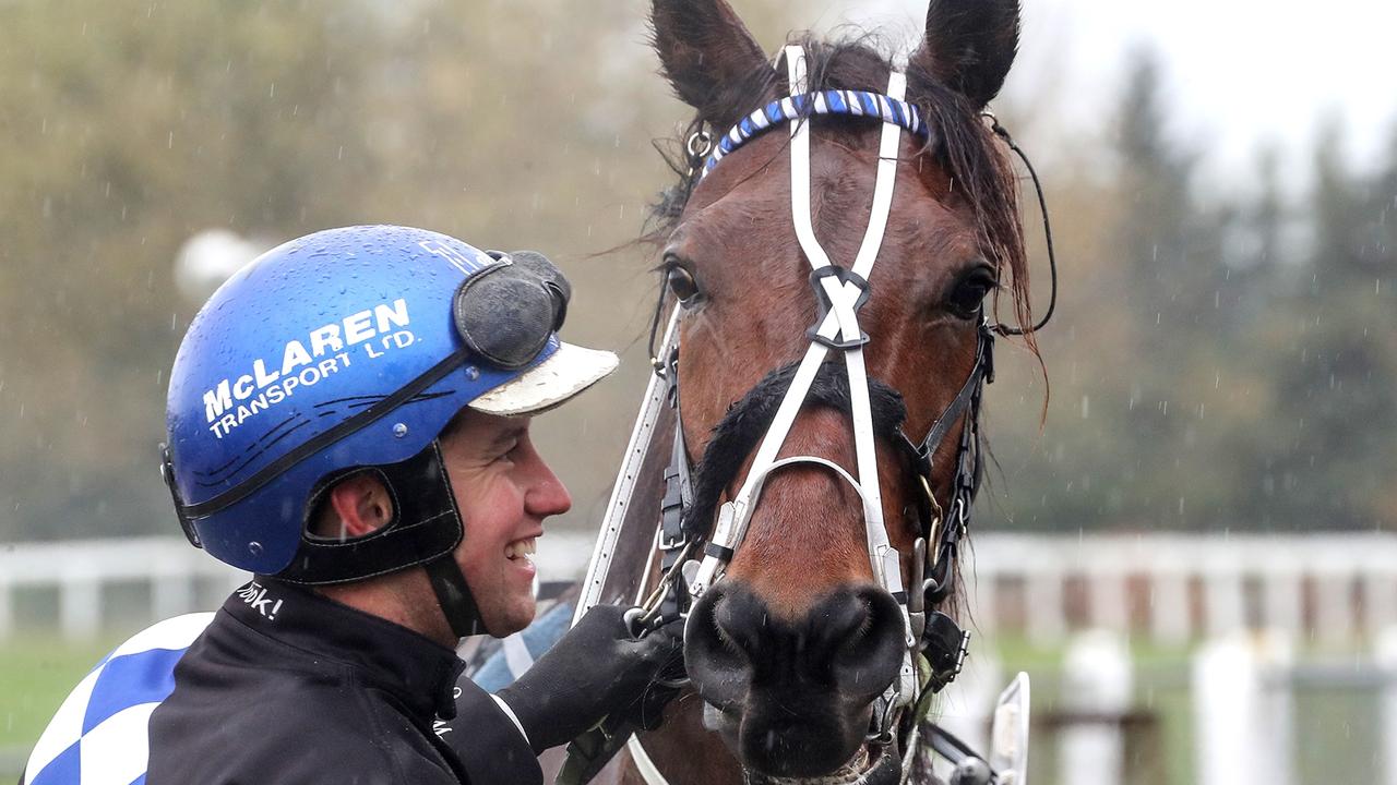 Supplied Editorial Majestic Man with Brad Williamson. Photo: Harness Racing NZ