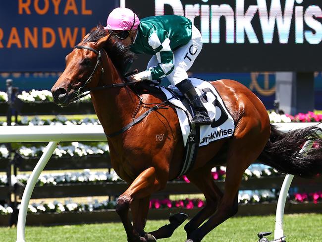 SYDNEY, AUSTRALIA - DECEMBER 23: Tim Clark riding Straight Charge wins Race 1 Drinkwise Plate during Sydney Racing at Royal Randwick Racecourse on December 23, 2023 in Sydney, Australia. (Photo by Jeremy Ng/Getty Images)