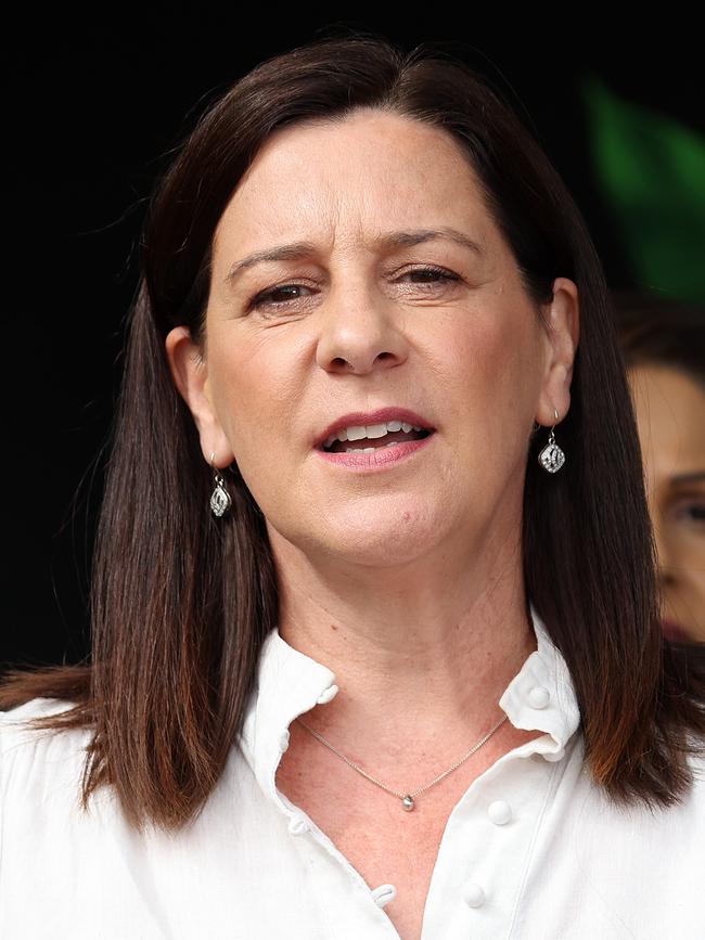 Liberal National Party energy spokeswoman Deb Frecklington. Picture: Liam Kidston