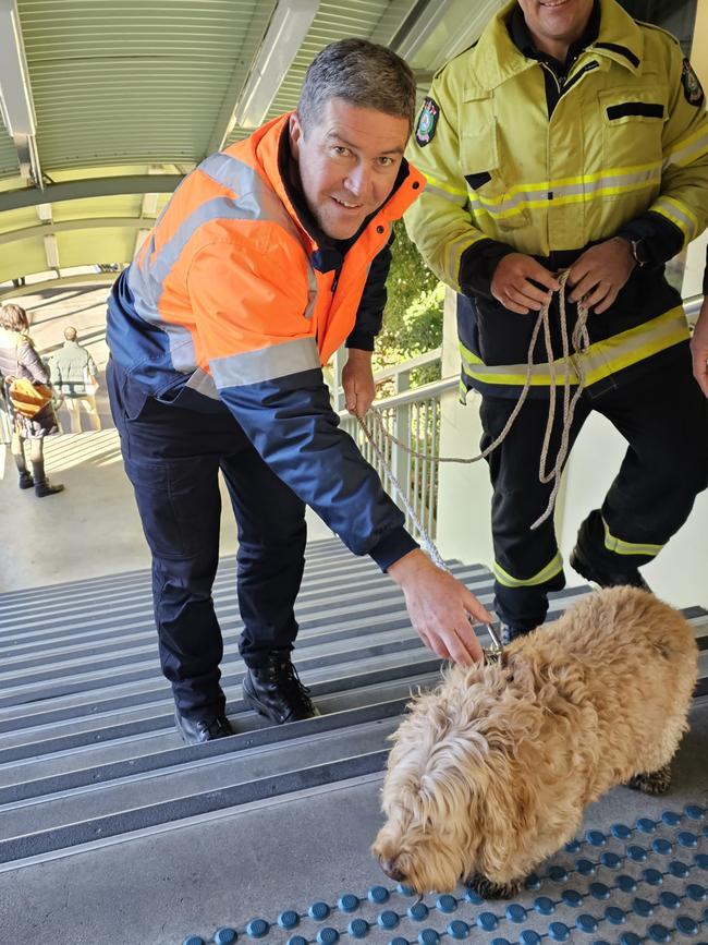 Heidi was safely rescued by rail staff.