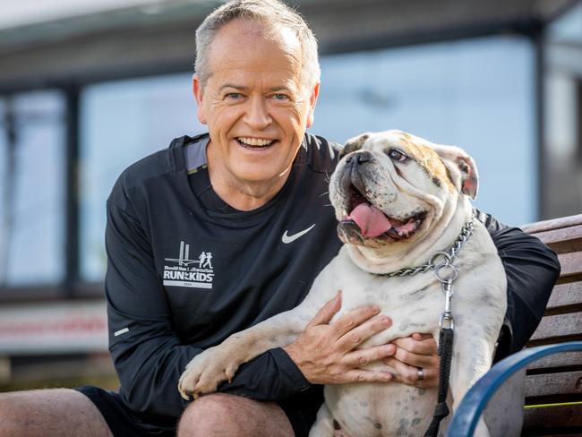 Bill Shorten and his dog Walter. Picture: Jake Nowakowski