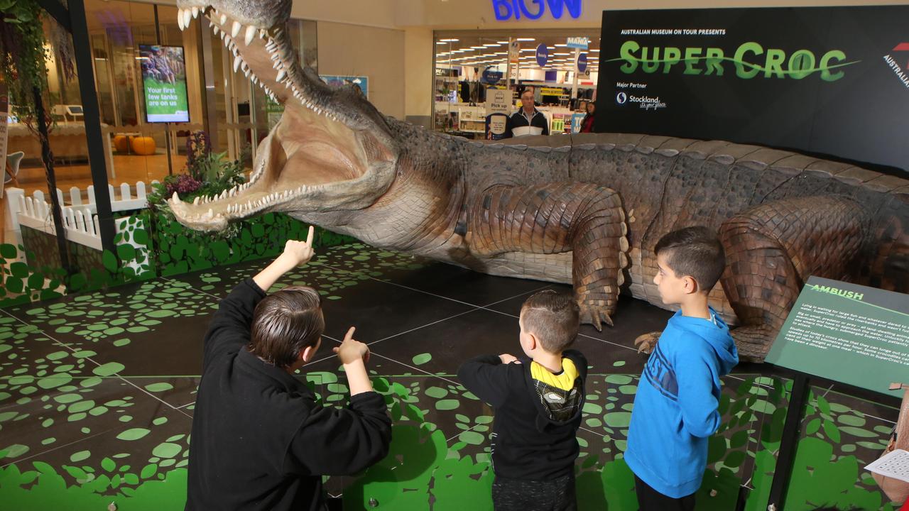 SuperCroc a monster hit at Wetherill Park | Daily Telegraph