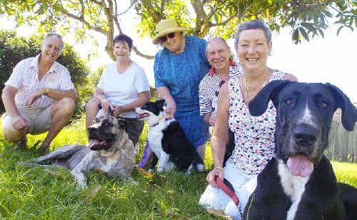 Campaigning for leash-free times for dogs at Ballina’s Angels Beach are residents (from left), John and Elizabeth Fletcher with Buffy, Carol Piggott with Jess, and Jim and Merrilyn Roche with Zilla. Picture: Cathy Adams