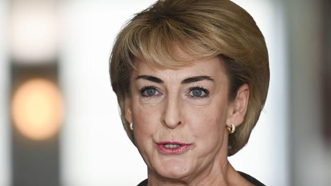 Opposition employment and workplace spokeswoman Michaelia Cash has also blamed Labor’s decision to scrap the ABCC. Picture: NewsWire / Martin Ollman