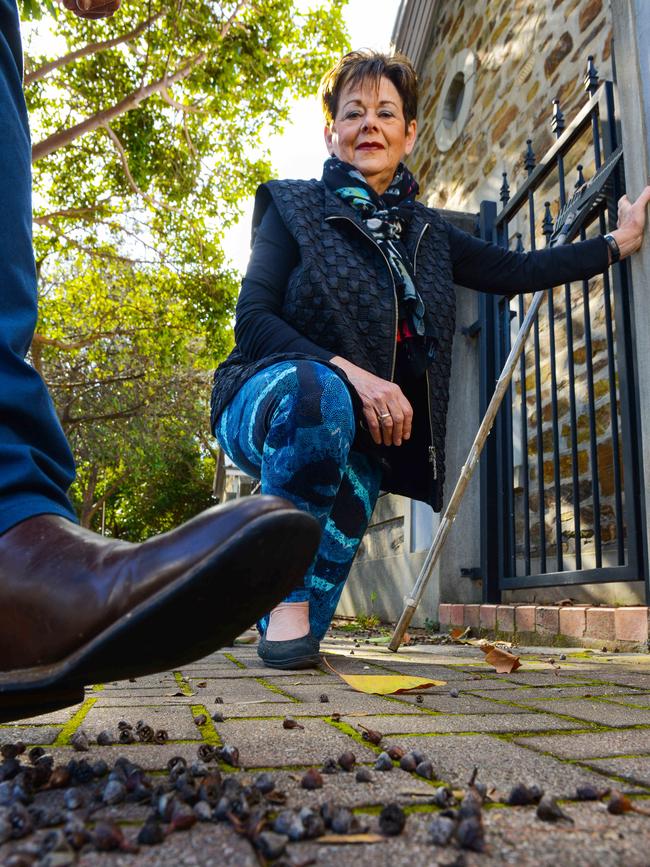 Norwood, Payneham and St Peter's councillor Sue Whitington with seed pods from a Queensland box tree. Picture: AAP/ Brenton Edwards