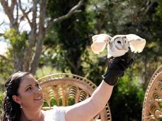 You can have Socks the barn owl as the ring bearer at your wedding now. Picture: Macadamia Castle