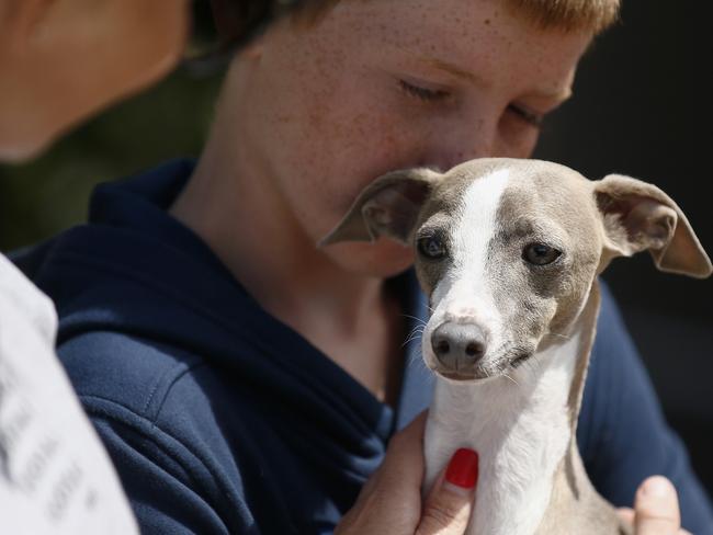 MELBOURNE, AUSTRALIA - NewsWire Photos JANUARY 18, 2020 : Levi holding his dog Skip after he was found outside the Kingston City Town Hall in Melbourne. Picture : NCA NewsWire / Daniel Pockett