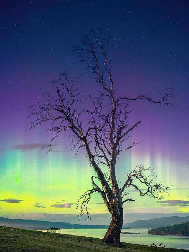 Aurora Australis at Tinderbox, Tasmania. Picture: TIM GRIMSEY