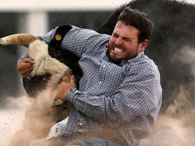 Baxtor Roche, of Tremonton, Utah, tries to bring down his steer in the third section of the steer wrestling event during the first day of the Cheyenne Frontier Days Rodeo, Saturday, July 23, 2016, at Frontier Park Arena in Cheyenne, Wyo. (Blaine McCartney/Wyoming Tribune Eagle via AP)