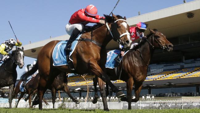 Bazooka (red and blue cap) has been a model of consistency all preparation. Picture: Getty Images