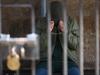 Violent assaults on prison officers by wild inmates