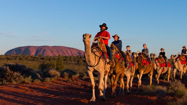 Or you could be like cricket legend Matthew Hayden and ride a camel.