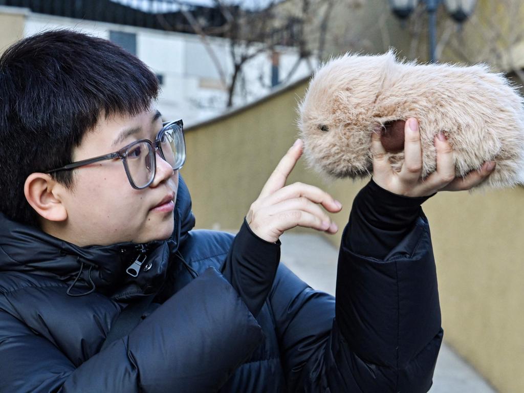 A woman in China plays with her AI-powered pet robot. Picture: AFP