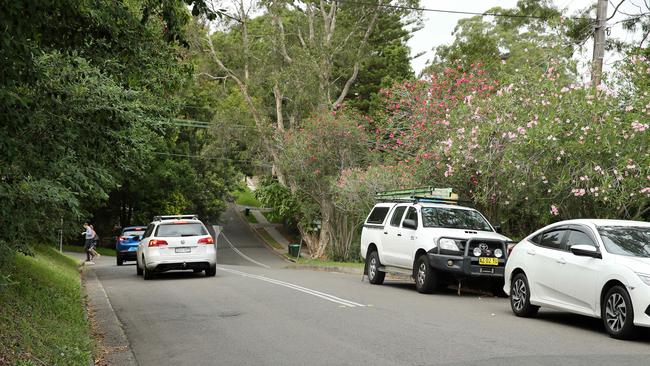 Lane Cove in Sydney’s north shore. Picture: Tim Hunter.