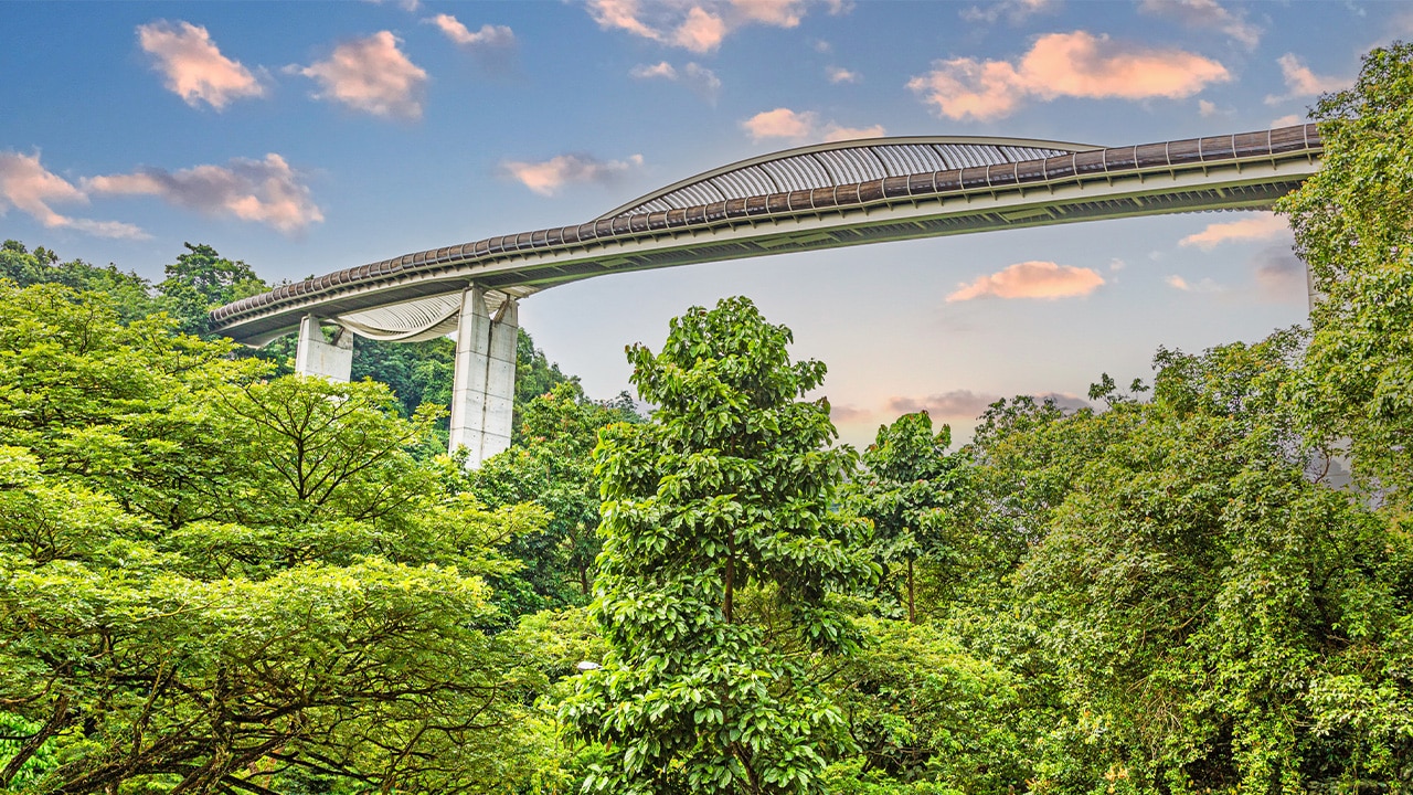 Henderson Waves bridge in Singapore.