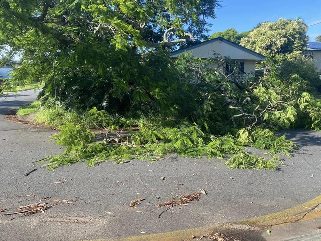 A fallen tree at Cleavue St, Geebung following the wild storms. Picture: Facebook