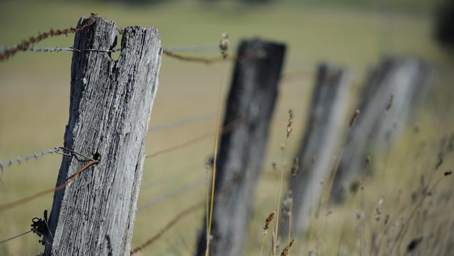 Generic pictures of a wooden / timber / hardwood farm fence near to Camden NSW Australia