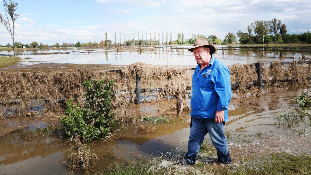 Sydney farmer calls for ‘buffer zone’ to mitigate floods in Hawkesbury ...