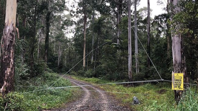 An elaborate network of ropes has blocked the entrance to Orara East state forest near Coffs Harbour on June 6,2023. Picture: Supplied